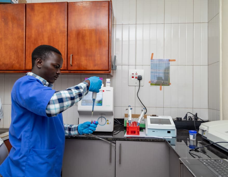 Research and Innovation